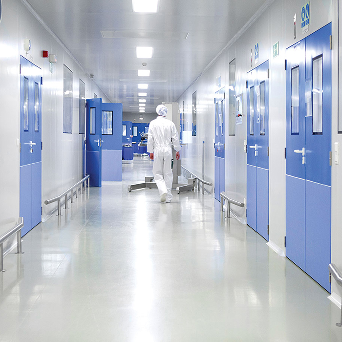 Clean Room Door